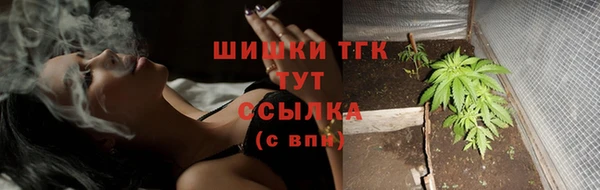 МДПВ Кукмор