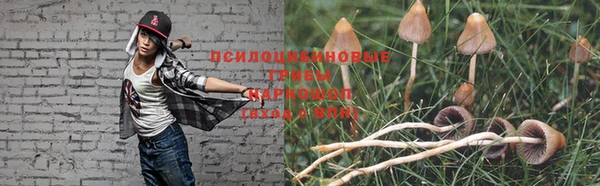 МДПВ Кукмор