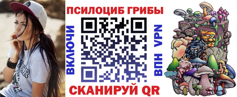 Купить где  Избербаш  Псилоцибиновые грибы MAGIC MUSHROOMS 